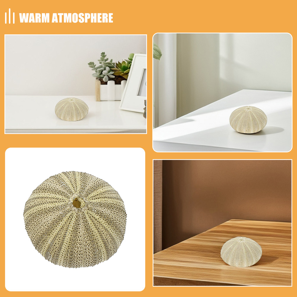 18 stuks zee-egelschelpen, vaa - Art Craft Project recensie en prijs